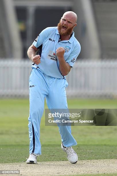 Doug Bollinger of the Blues celebrates dismissing Jake Weatherald of the Redbacks during the Matador BBQs One Day match between South Australia and...