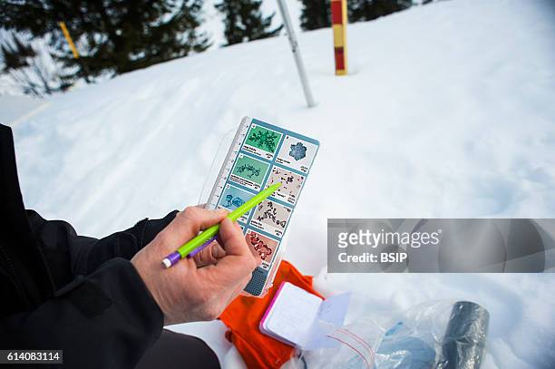 Ski patrol team at the Avoriaz ski resort in Haute Savoie, France. The team are responsible for marking out the ski slopes, providing first aid to...