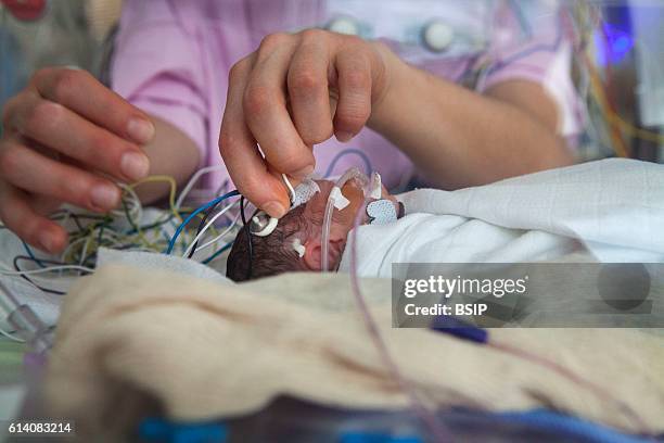 Mobile functional exploration unit. A nurse intervenes in a neonatal service to carry out a check-up EEG on some premature babies. The EEG enables...