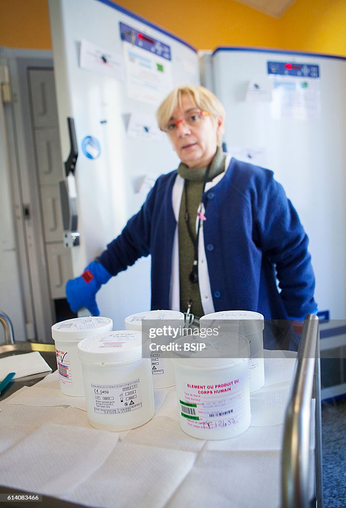 Biobank, Human Body Tissue
