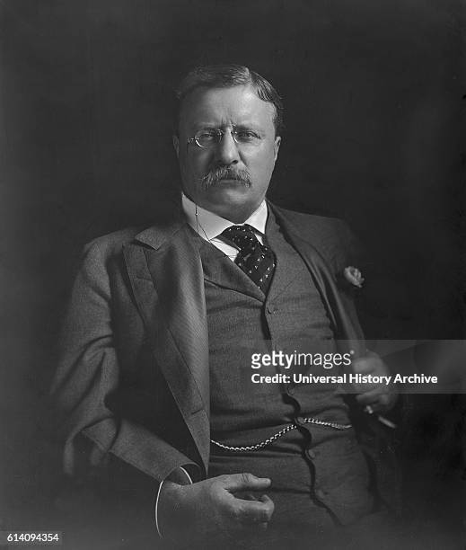 President Theodore Roosevelt, Portrait, circa 1907.
