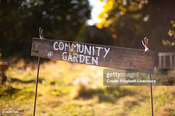 community garden - jardín de la comunidad fotografías e imágenes de stock