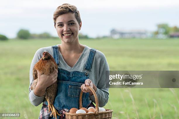 landwirt mit huhn - short hair for fat women stock-fotos und bilder