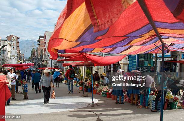 mercado de flores en nuestra señora de urkupiña en bolivia - cochabamba fotografías e imágenes de stock