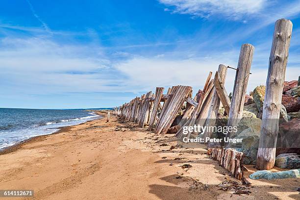 old timber beach barrier, merigomish,nova scotia - prince edward island stock pictures, royalty-free photos & images