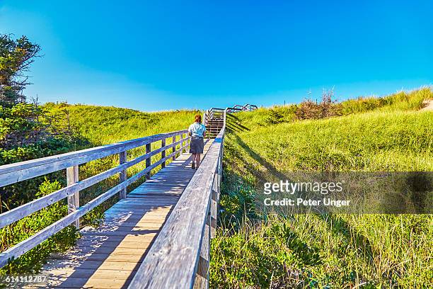 wooden boardwalk leading to beach,canada - prince edward island stock pictures, royalty-free photos & images