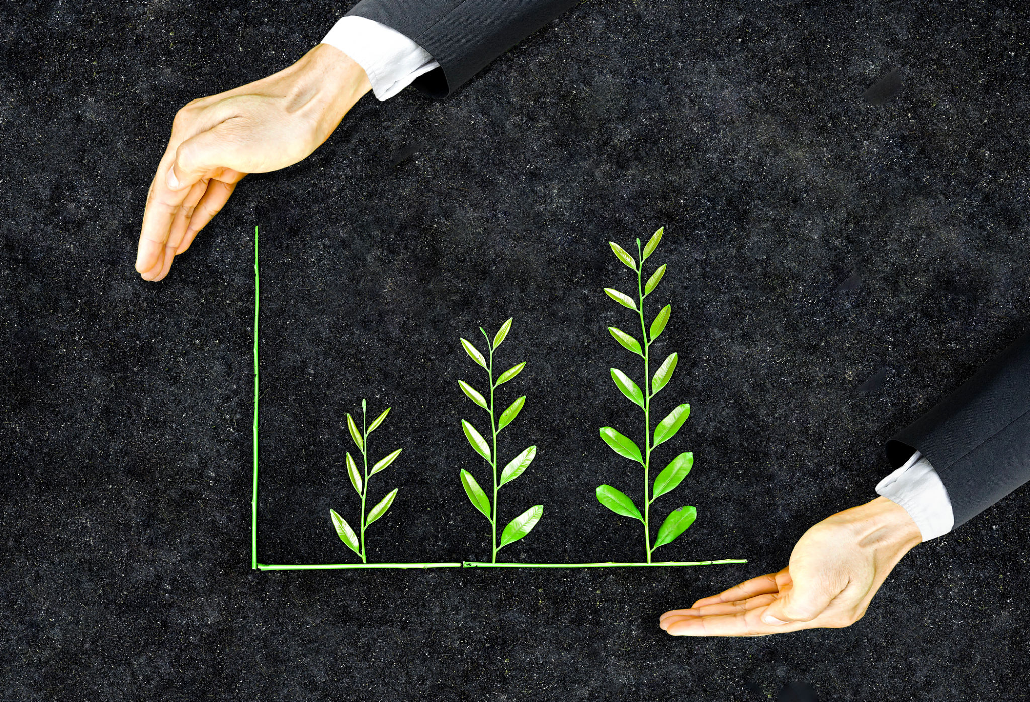 eco-friendly practices