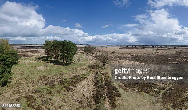 doldersummer field - drenthe stock pictures, royalty-free photos & images