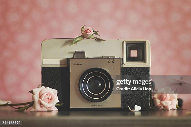 285 Alicia Rosa Stock Photos, High-Res Pictures, and Images - Getty Images