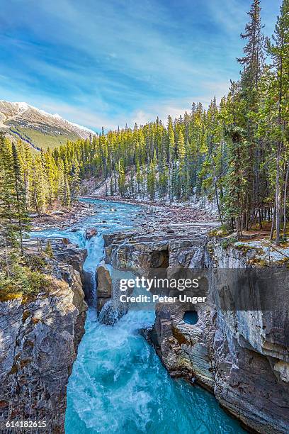 sunwapta falls,banff national park,alberta - sunwapta falls stock pictures, royalty-free photos & images