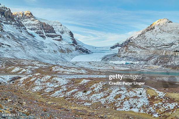 athabasca glacier,alberta,canada - columbia icefield bildbanksfoton och bilder