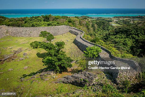 castle and sea - nakijin castle stock pictures, royalty-free photos & images