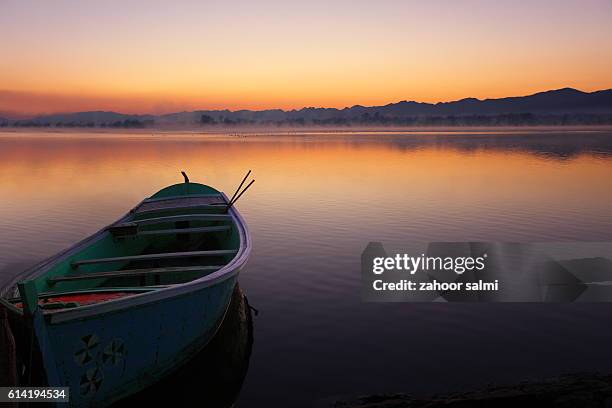 uchali lake - markhor stock-fotos und bilder