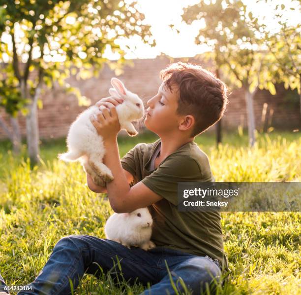 cute boy holding rabbit - bunnies stockfoto's en -beelden