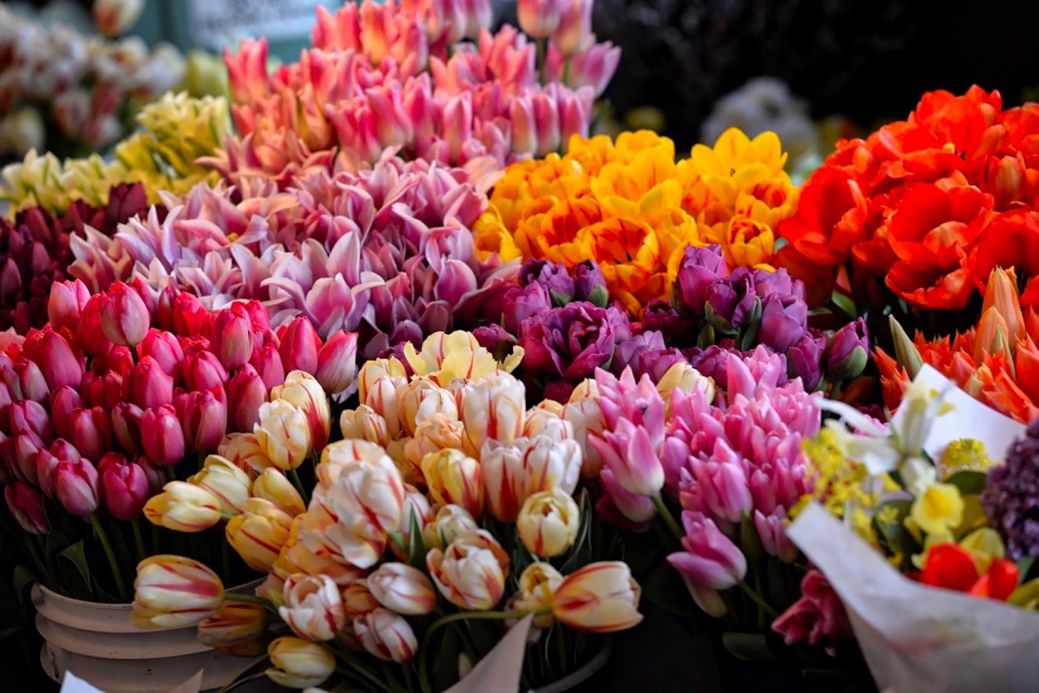 flower market