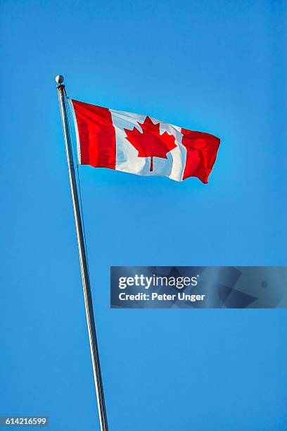 canadian flag - bandiera del canada foto e immagini stock