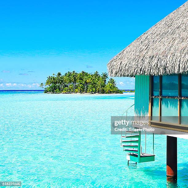 bora bora tahiti island life - french polynesia stock pictures, royalty-free photos & images