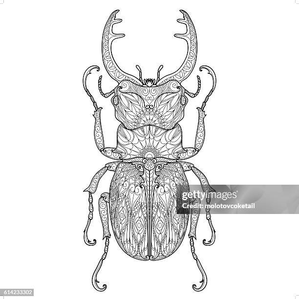 illustrations, cliparts, dessins animés et icônes de gribouillis de coléoptère modèle 4 - scarabée
