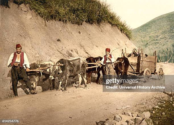 Peasants and Wagon, Bosnia, Austro-Hungary, Photochrome Print, circa 1900.