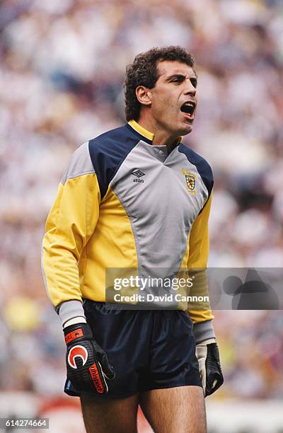 England goalkeeper Peter Shilton issues instructions to his defence whilst wearing a Scotland goalkeepeing jersey during a Rous Cup match between...