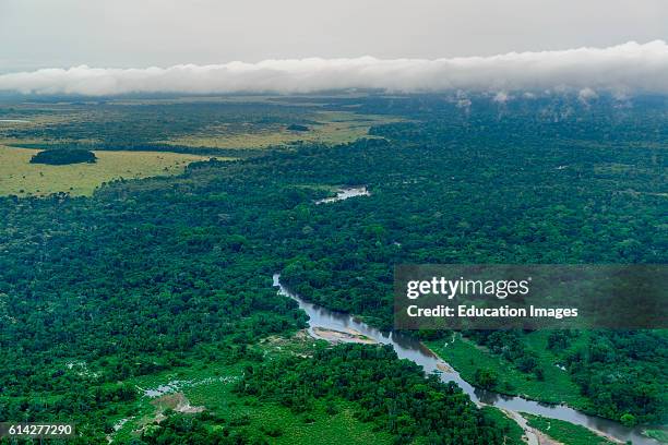 Aerial view, Odzala-Kokoua National Park, Cuvette-Ouest Region, Republic of the Congo.