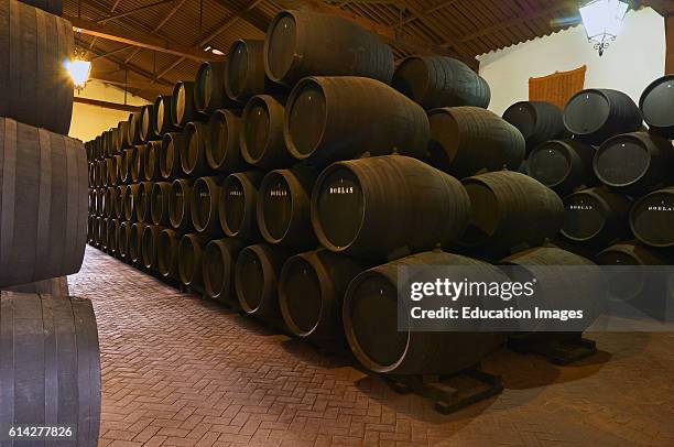 Moriles, Doblas Wine Cellar, Montilla-Moriles Wine area, Lagar Bodega Doblas, Montilla-Moriles Wine Route, Cordoba, Andalusia, Spain.