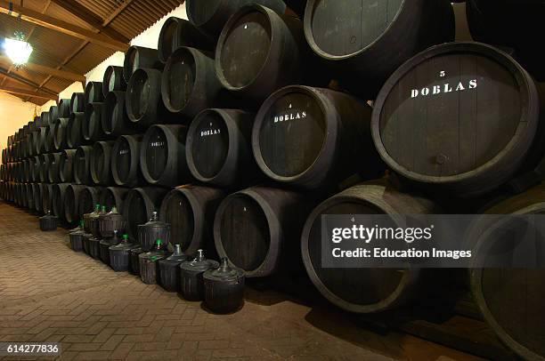 Moriles, Doblas Wine Cellar, Montilla-Moriles Wine area, Lagar Bodega Doblas, Montilla-Moriles Wine Route, Cordoba, Andalusia, Spain.