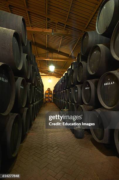 Moriles, Doblas Wine Cellar, Montilla-Moriles Wine area, Lagar Bodega Doblas, Montilla-Moriles Wine Route, Cordoba, Andalusia, Spain.