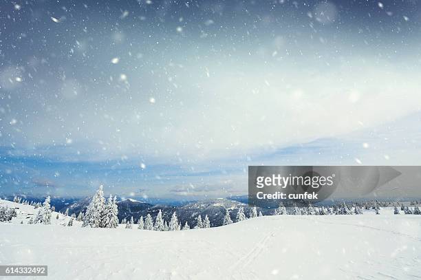 tempête de neige - winter photos et images de collection