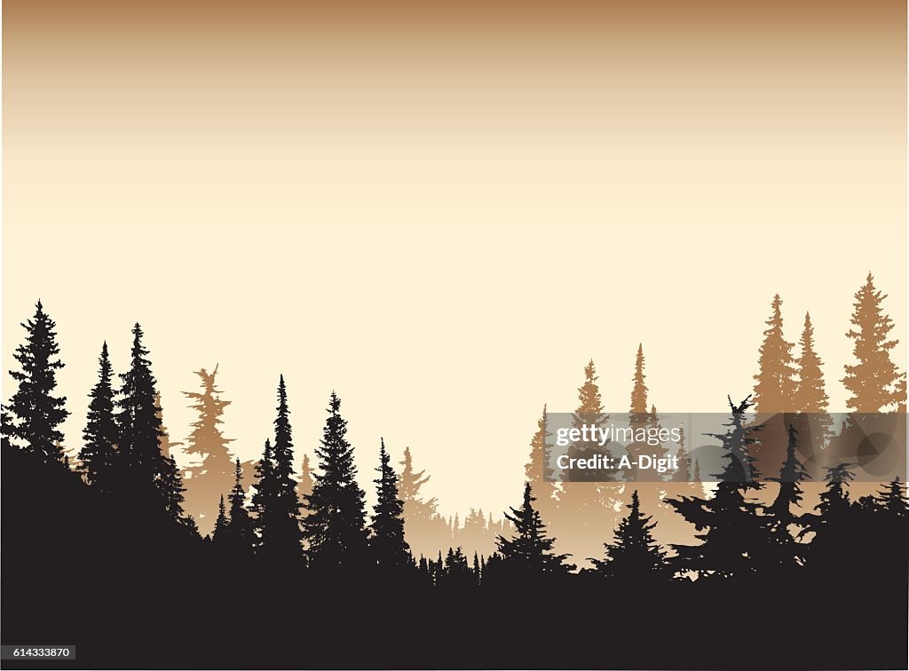 Sepia Ton Wald Hintergrund