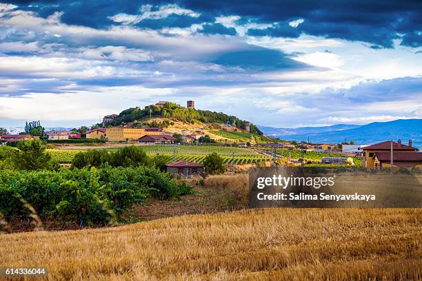 los viñedos de rioja - comunidad autónoma de la rioja fotografías e imágenes de stock