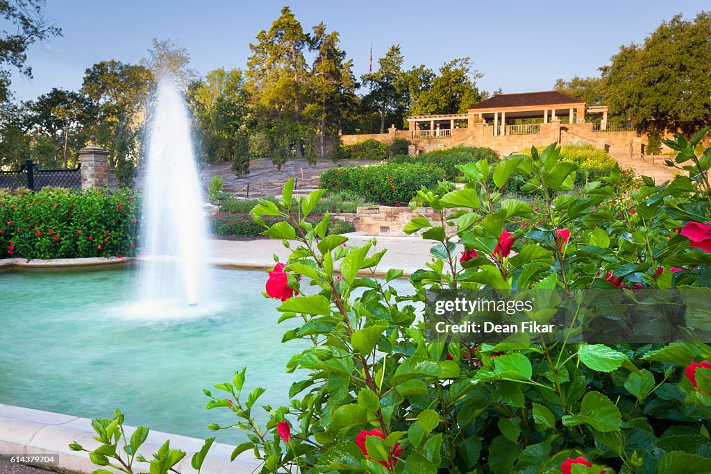 Botanical Garden on a Clear Morning