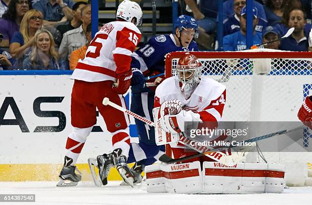 Petr Mrazek of the Detroit Red Wings makes a save as Riley Sheahan of the Detroit Red Wings defends against Ondrej Palat of the Tampa Bay Lightning...