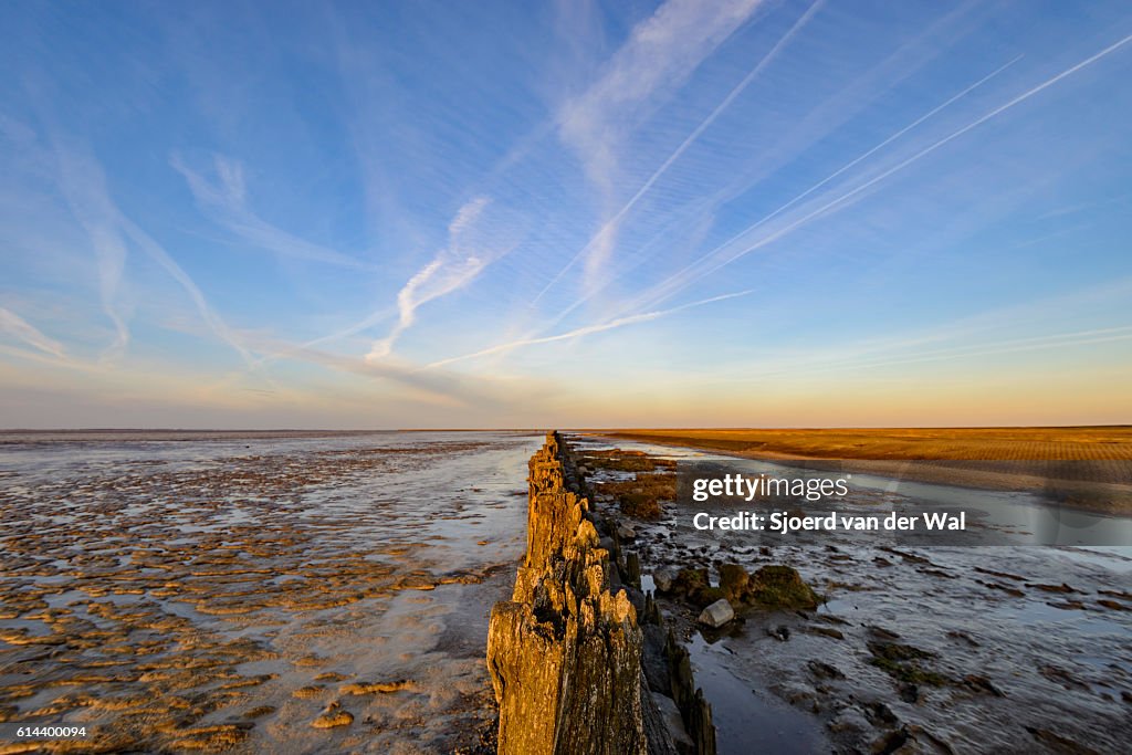 Poles on tidal sandflats during sunset over the Waddensea