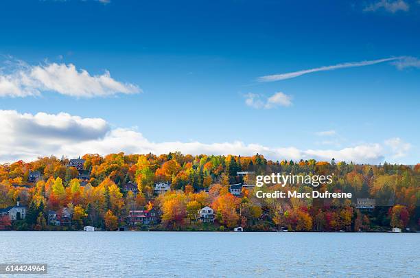 autumn mountain with lake - québec 個照片及圖片檔