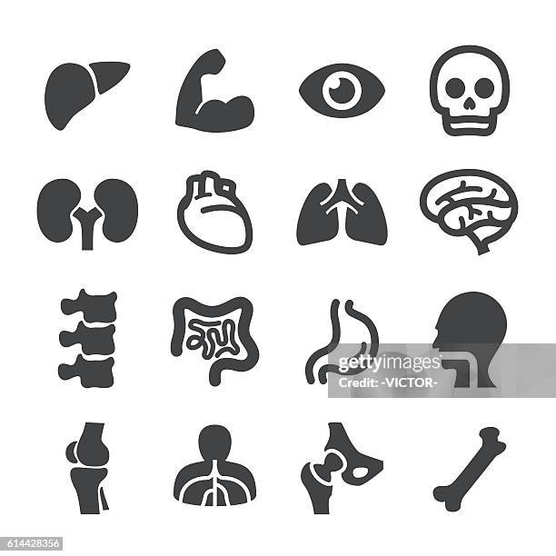 anatomy icons - acme series - human large intestine stock illustrations