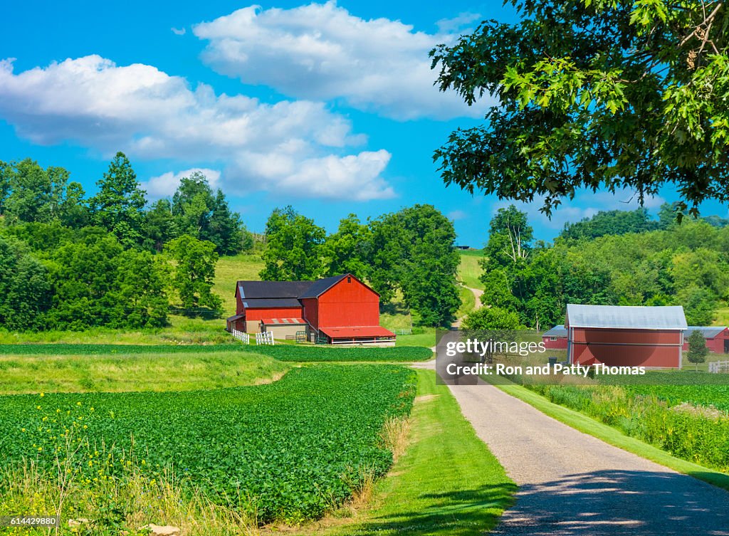 Midwest farm with spring  crop and red barn,USA(P)