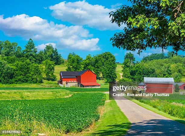 midwest farm with spring  crop and red barn,usa(p) - ohio nature stock pictures, royalty-free photos & images