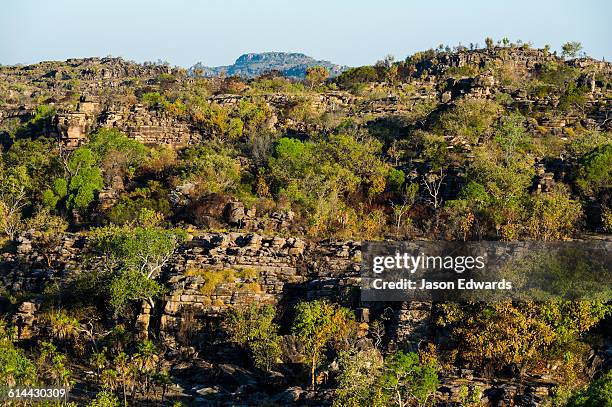 ubirr, kakadu national park, northern territory, australia. - kakadu foto e immagini stock