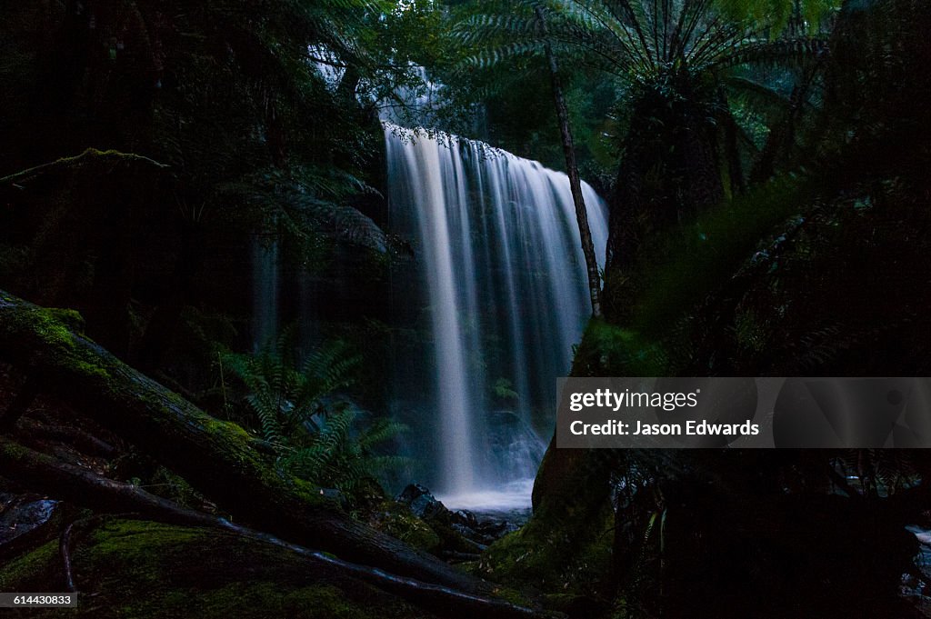 Mount Field National Park, Tasmania, Australia.