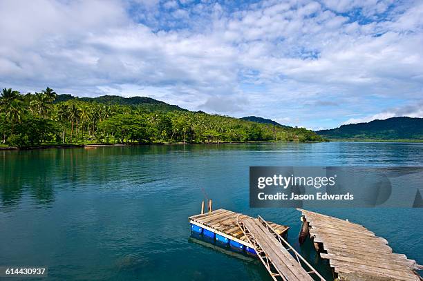 natewa bay, vanua levu, pacific ocean, fiji islands. - vanua levu eiland stockfoto's en -beelden