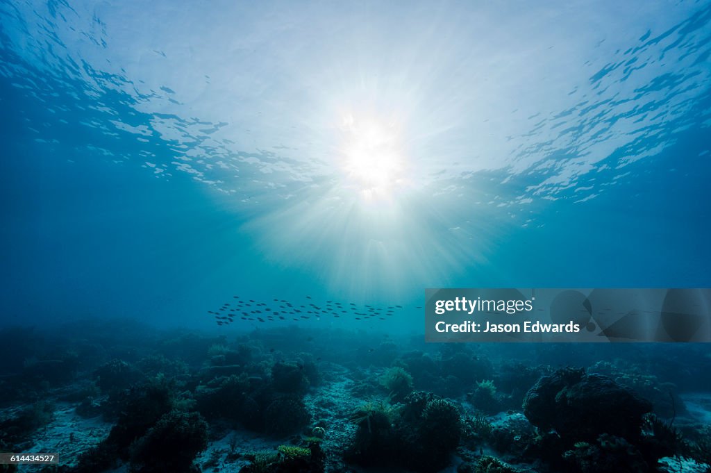 Friwinbonda Island, Raja Ampat, Indonesia.