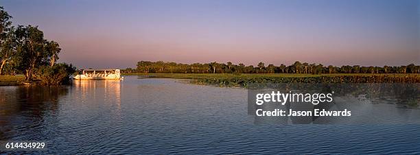 yellow water billabong, cooinda, kakadu national park, northern territory, australia. - kakadu stockfoto's en -beelden