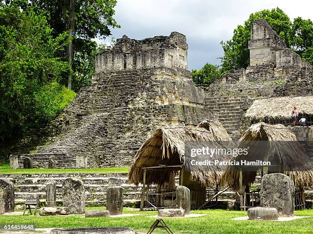 mayan temple complex, tikal - tikal stock pictures, royalty-free photos & images