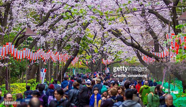 ueno park in april - ueno tokio stockfoto's en -beelden