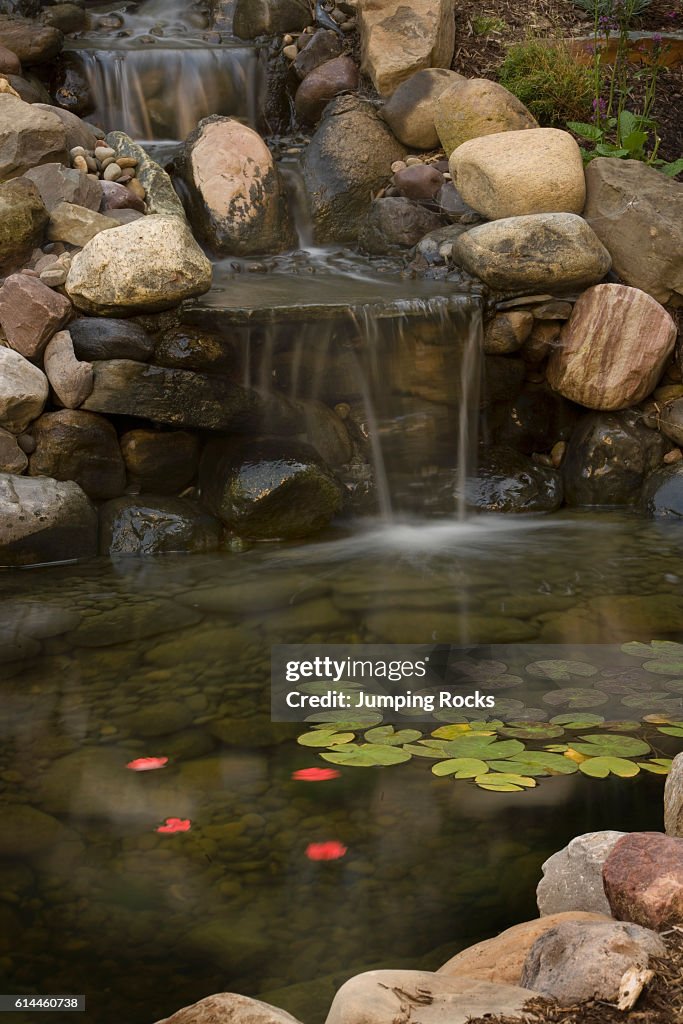 Backyard water feature