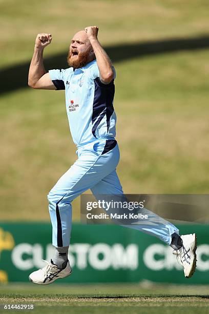 Doug Bollinger of the Blues celebrates taking the wicket of Joe Burns of the Bulls during the Matador BBQs One Day Cup match between Queensland and...