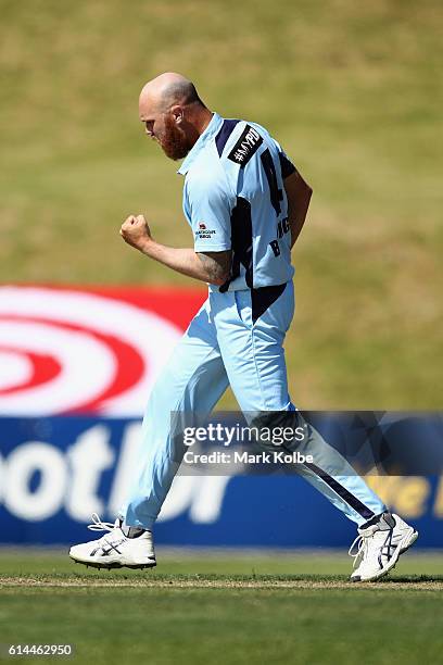 Doug Bollinger of the Blues celebrates taking the wicket of Joe Burns of the Bulls during the Matador BBQs One Day Cup match between Queensland and...