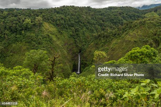 waterfalls in the greenery of san jose costa rica - san jose costa rica stock pictures, royalty-free photos & images