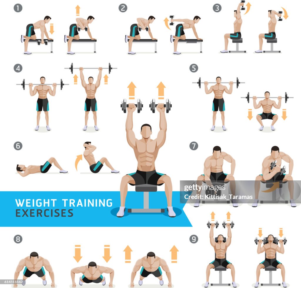 Verpersoonlijking bespotten achterzijde Exercices Dhaltères Et Séances Dentraînement Musculation Illustration -  Getty Images